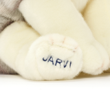 Jarvi Husky